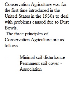 Feeding Soil